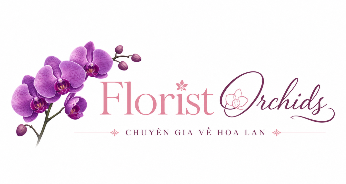 My Blog